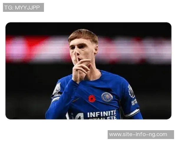 帕尔默因腹股沟伤势缺阵至11月将缺席至少四场重要比赛 帕尔默因腹股沟伤势缺阵至11月将缺席至少四场重要比赛